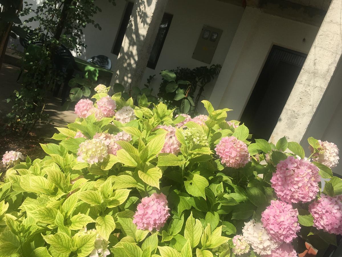 מוסטר Guesthouse Star מראה חיצוני תמונה